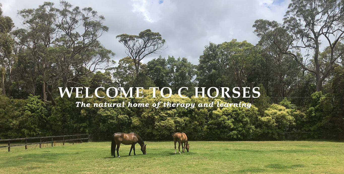 Buzz and Red in grass paddock_orig with words
